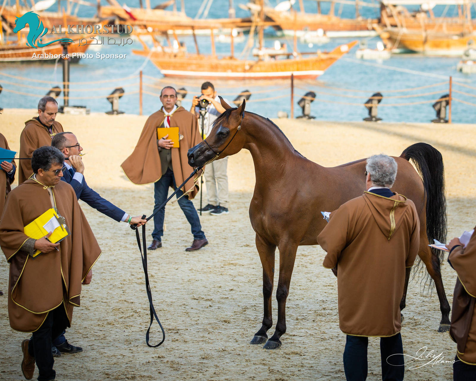 DAY 3 OF 2022 KATARA INTERNATIONAL ARABIAN HORSE FESTIVAL TITLE SHOW