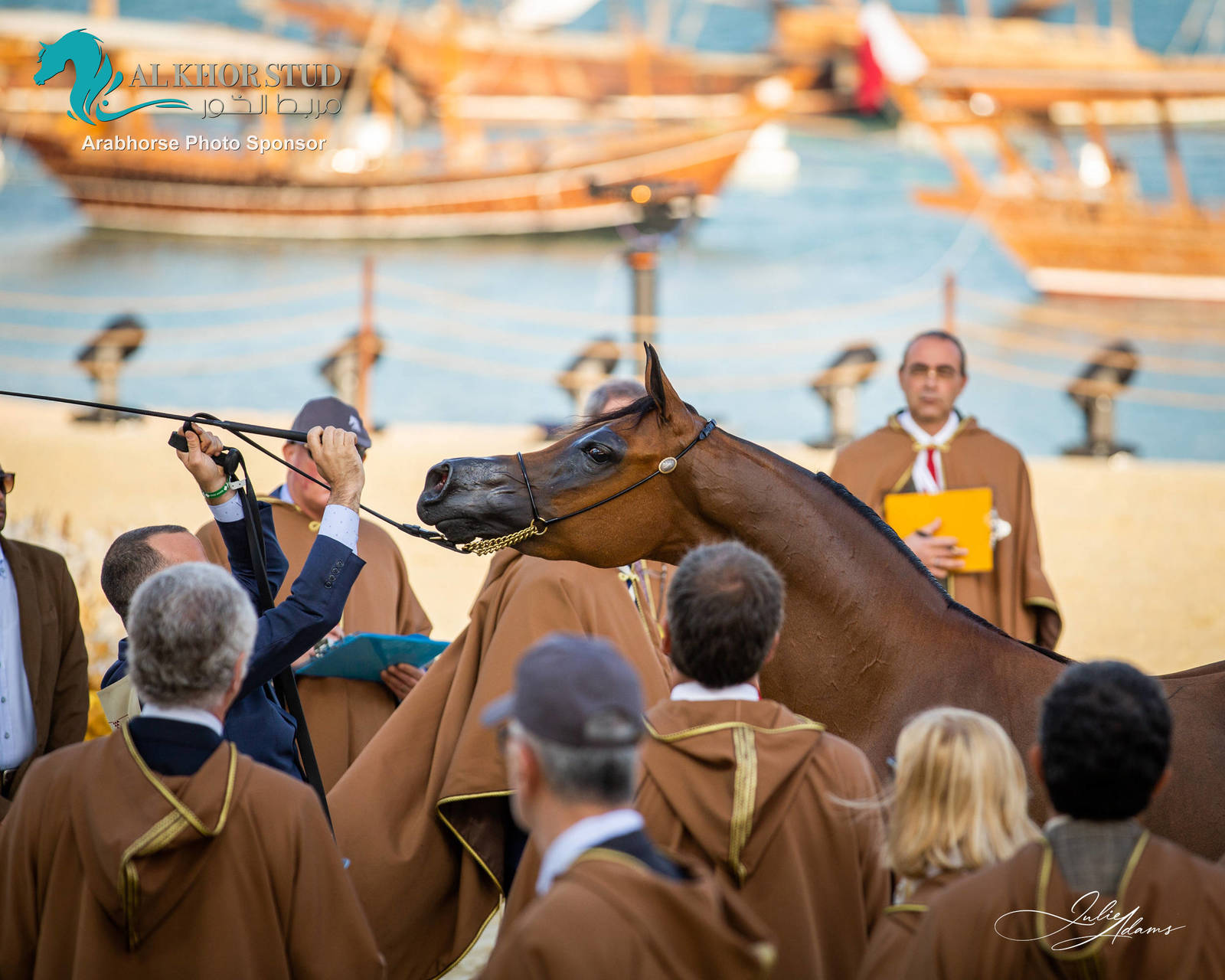 DAY 3 OF 2022 KATARA INTERNATIONAL ARABIAN HORSE FESTIVAL TITLE SHOW