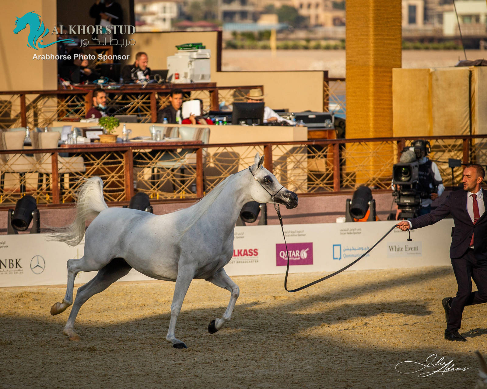 DAY 3 OF 2022 KATARA INTERNATIONAL ARABIAN HORSE FESTIVAL TITLE SHOW
