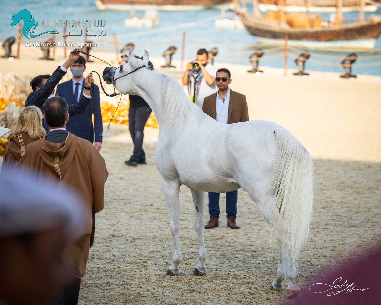 DAY 3 OF 2022 KATARA INTERNATIONAL ARABIAN HORSE FESTIVAL TITLE SHOW