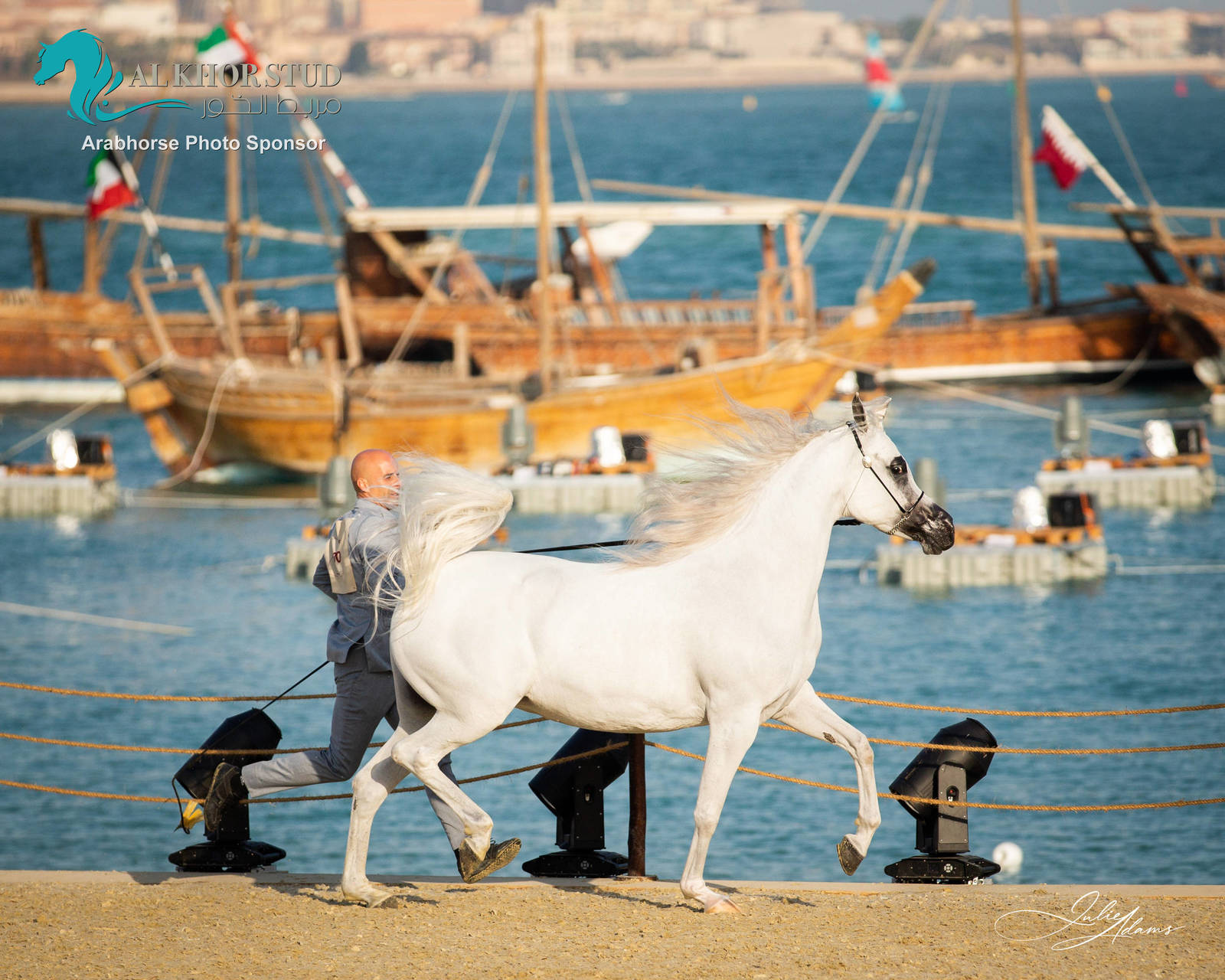 DAY 3 OF 2022 KATARA INTERNATIONAL ARABIAN HORSE FESTIVAL TITLE SHOW