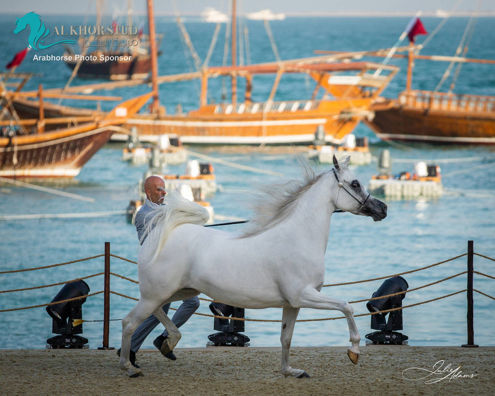 DAY 3 OF 2022 KATARA INTERNATIONAL ARABIAN HORSE FESTIVAL TITLE SHOW