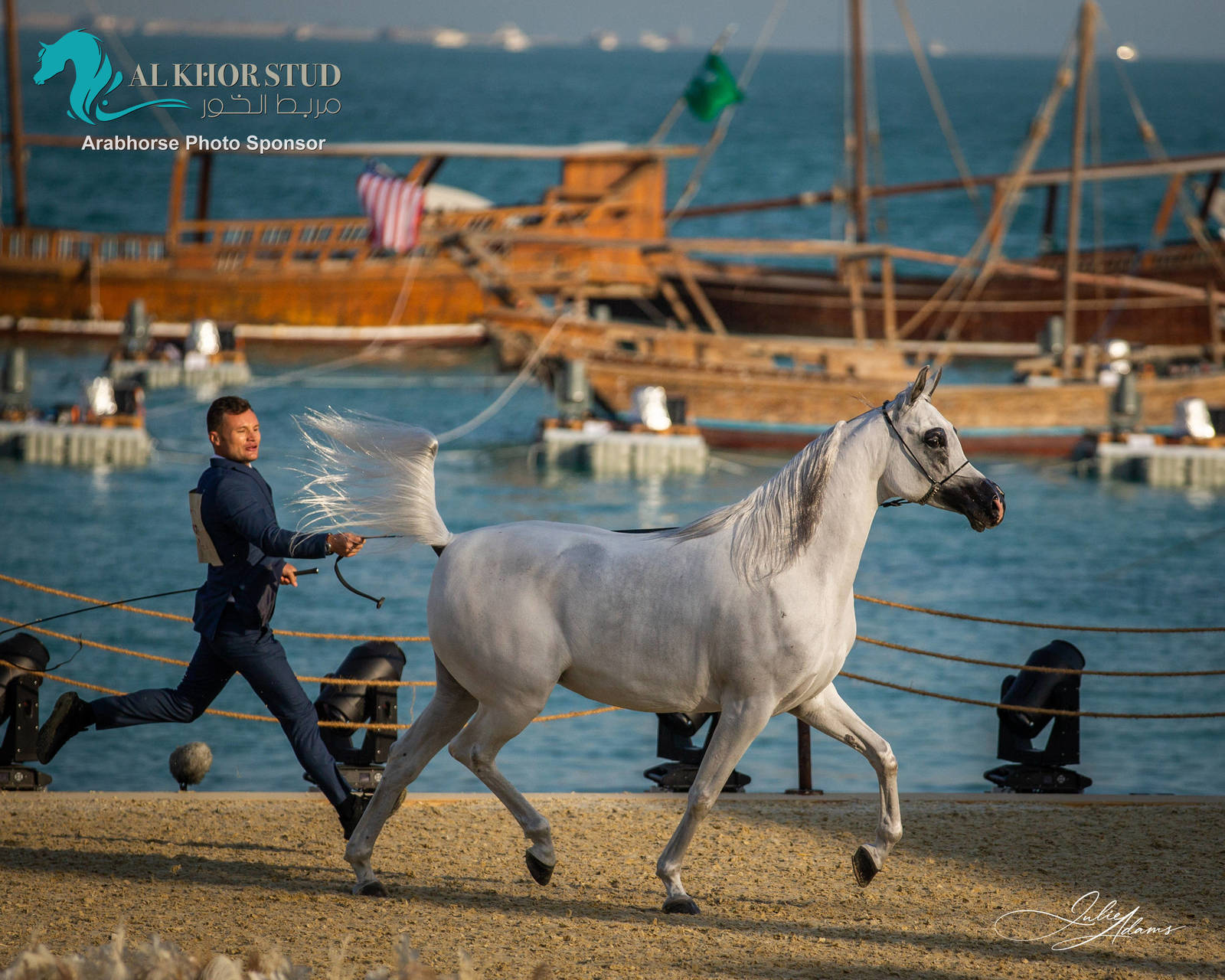DAY 3 OF 2022 KATARA INTERNATIONAL ARABIAN HORSE FESTIVAL TITLE SHOW