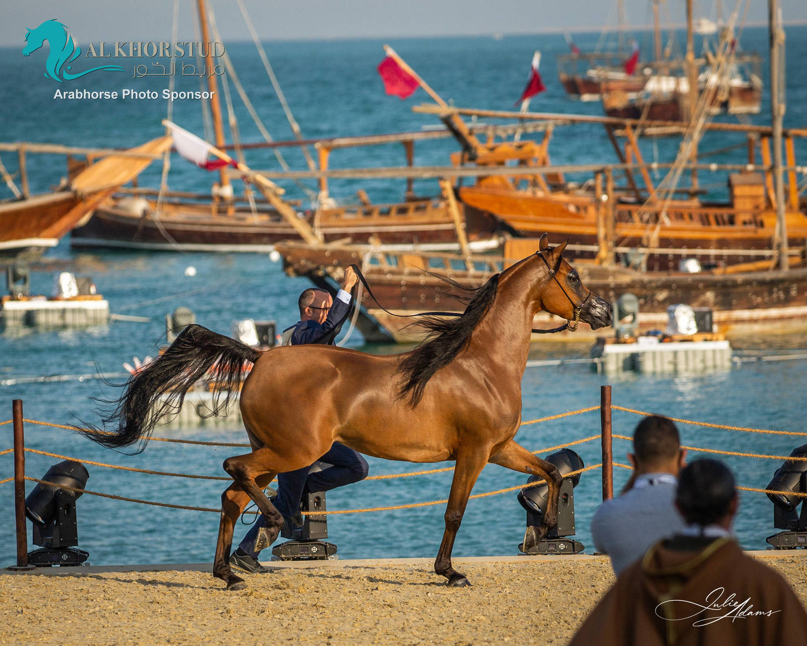 DAY 3 OF 2022 KATARA INTERNATIONAL ARABIAN HORSE FESTIVAL TITLE SHOW