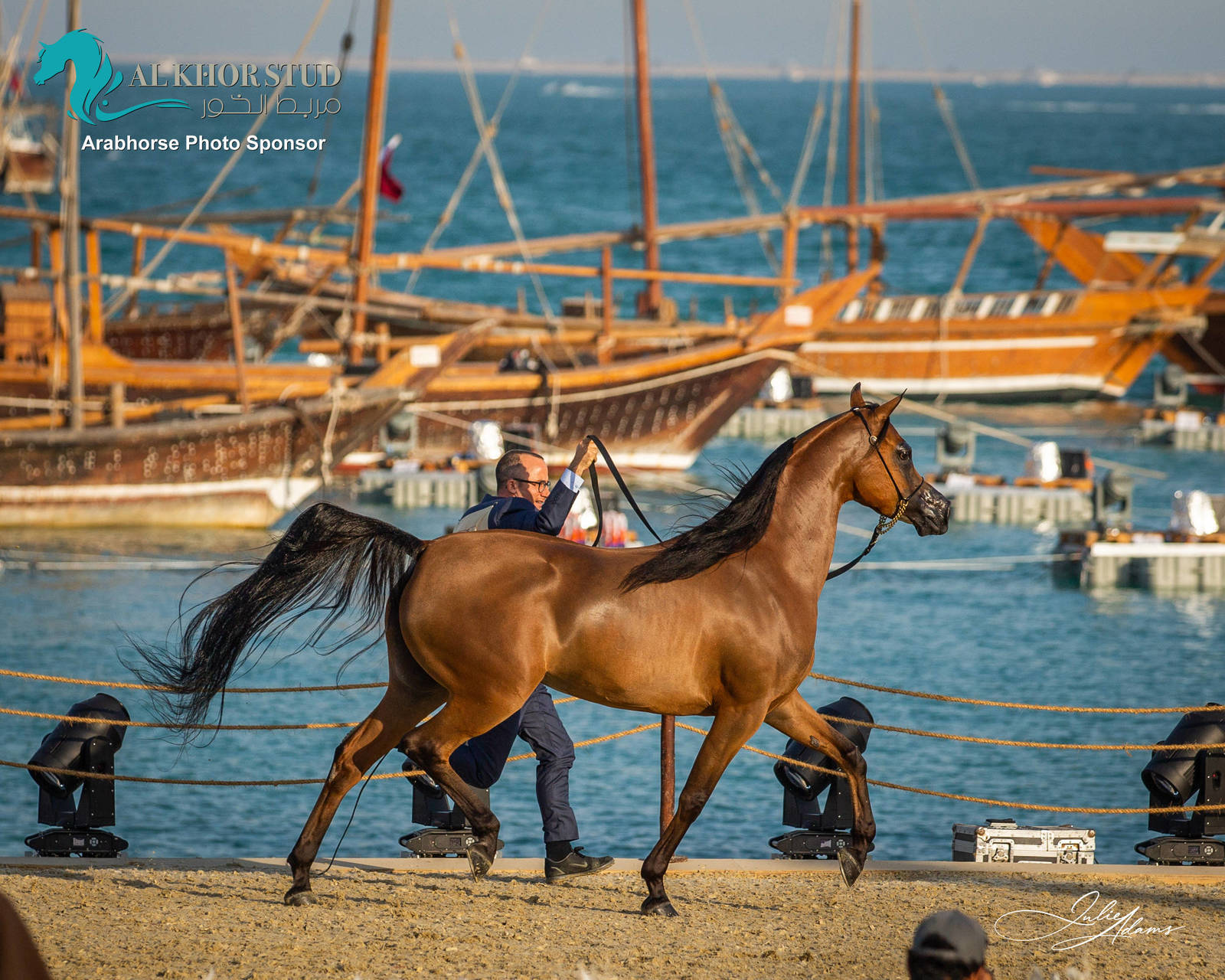 DAY 3 OF 2022 KATARA INTERNATIONAL ARABIAN HORSE FESTIVAL TITLE SHOW