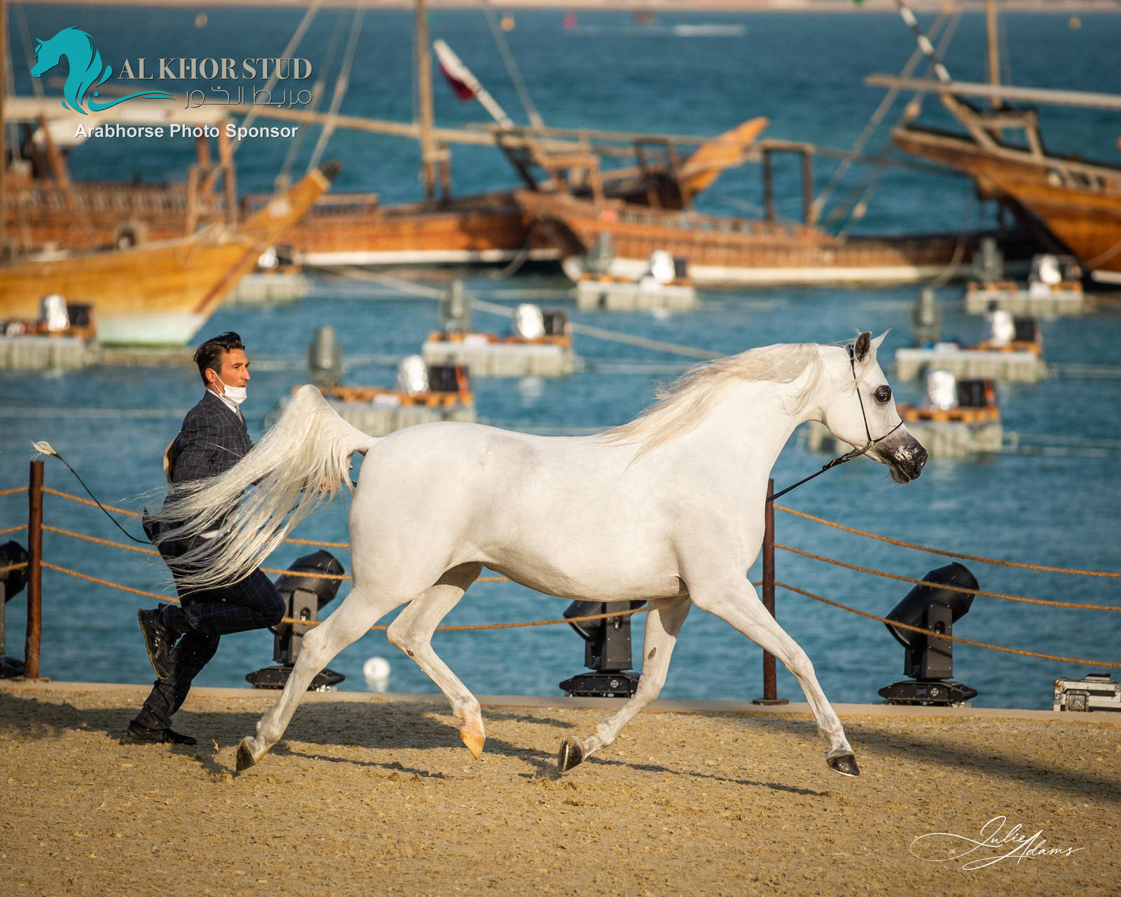 DAY 3 OF 2022 KATARA INTERNATIONAL ARABIAN HORSE FESTIVAL TITLE SHOW