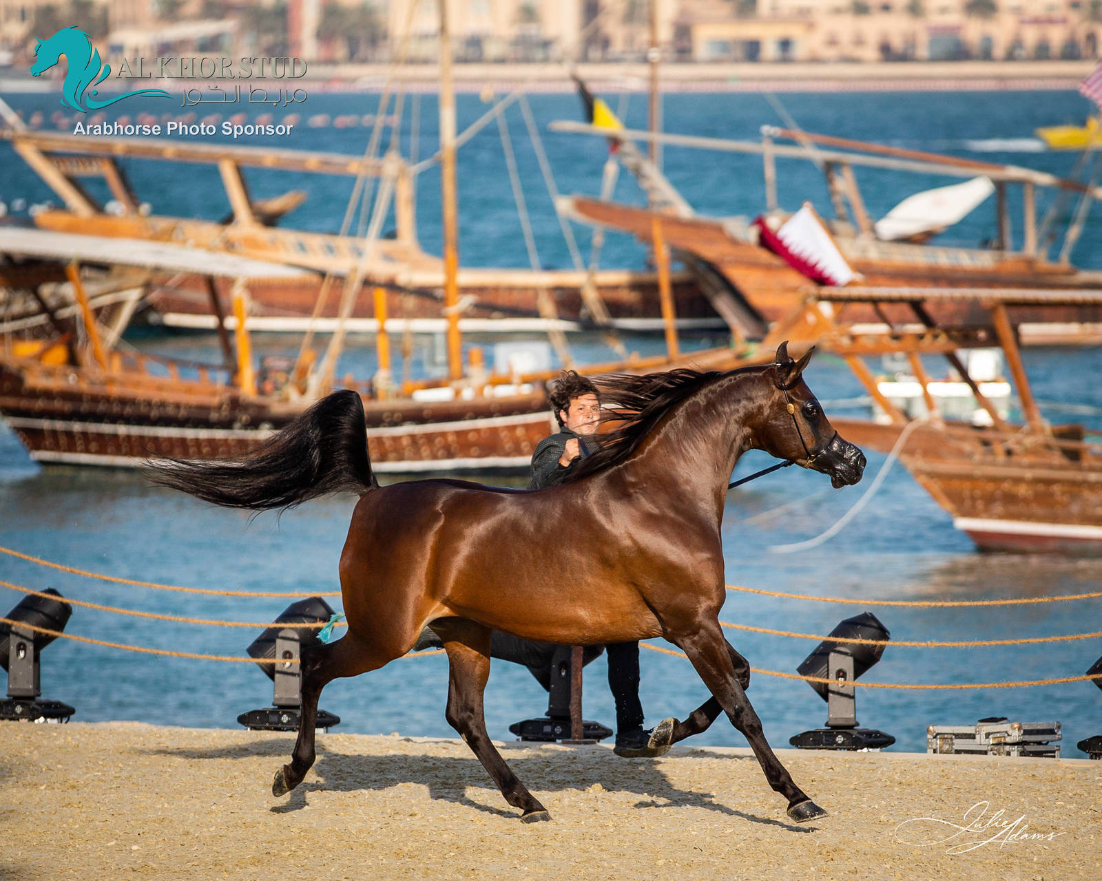 DAY 3 OF 2022 KATARA INTERNATIONAL ARABIAN HORSE FESTIVAL TITLE SHOW