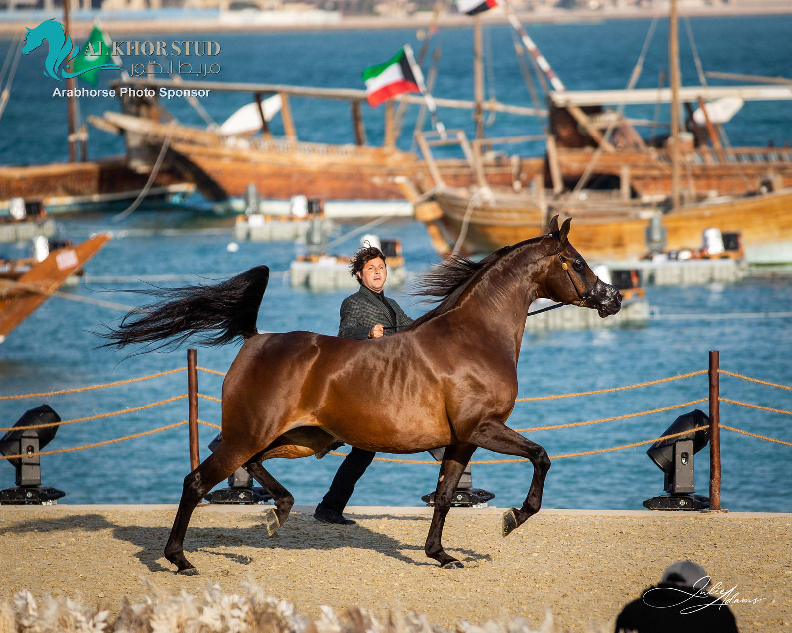 DAY 3 OF 2022 KATARA INTERNATIONAL ARABIAN HORSE FESTIVAL TITLE SHOW