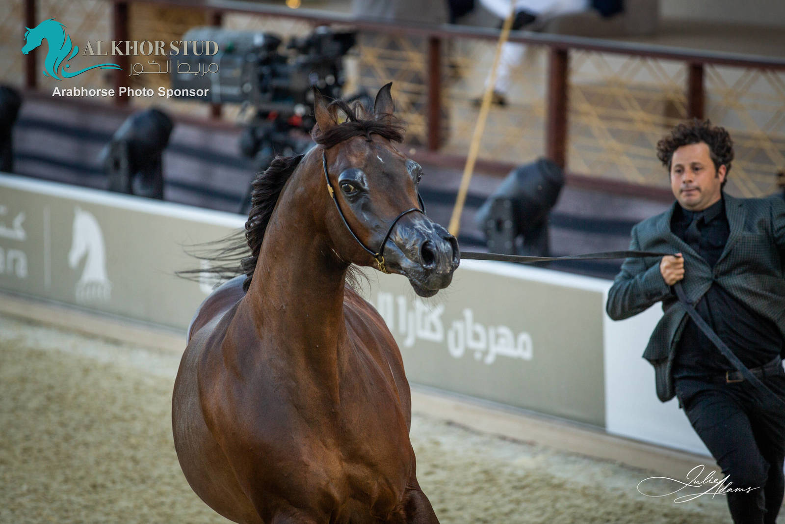 DAY 3 OF 2022 KATARA INTERNATIONAL ARABIAN HORSE FESTIVAL TITLE SHOW