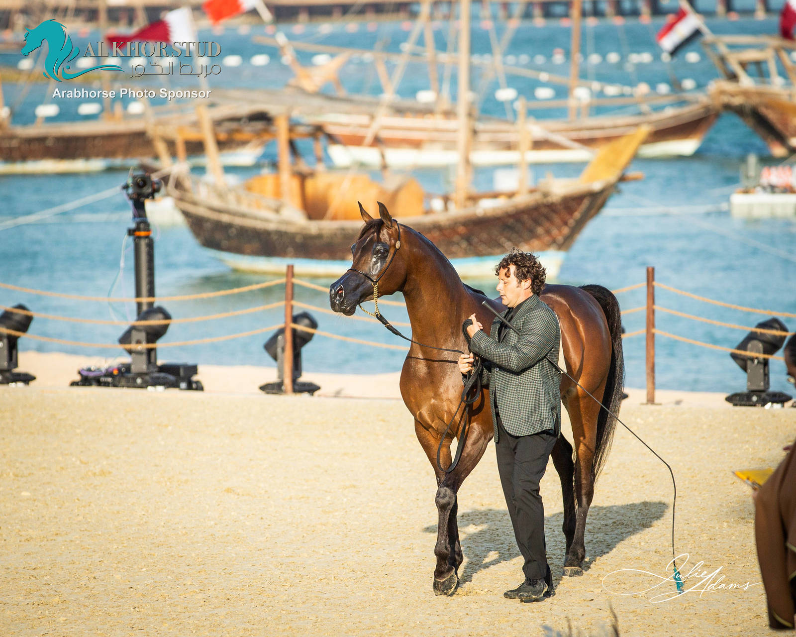 DAY 3 OF 2022 KATARA INTERNATIONAL ARABIAN HORSE FESTIVAL TITLE SHOW