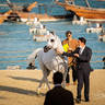 DAY 3 OF 2022 KATARA INTERNATIONAL ARABIAN HORSE FESTIVAL TITLE SHOW