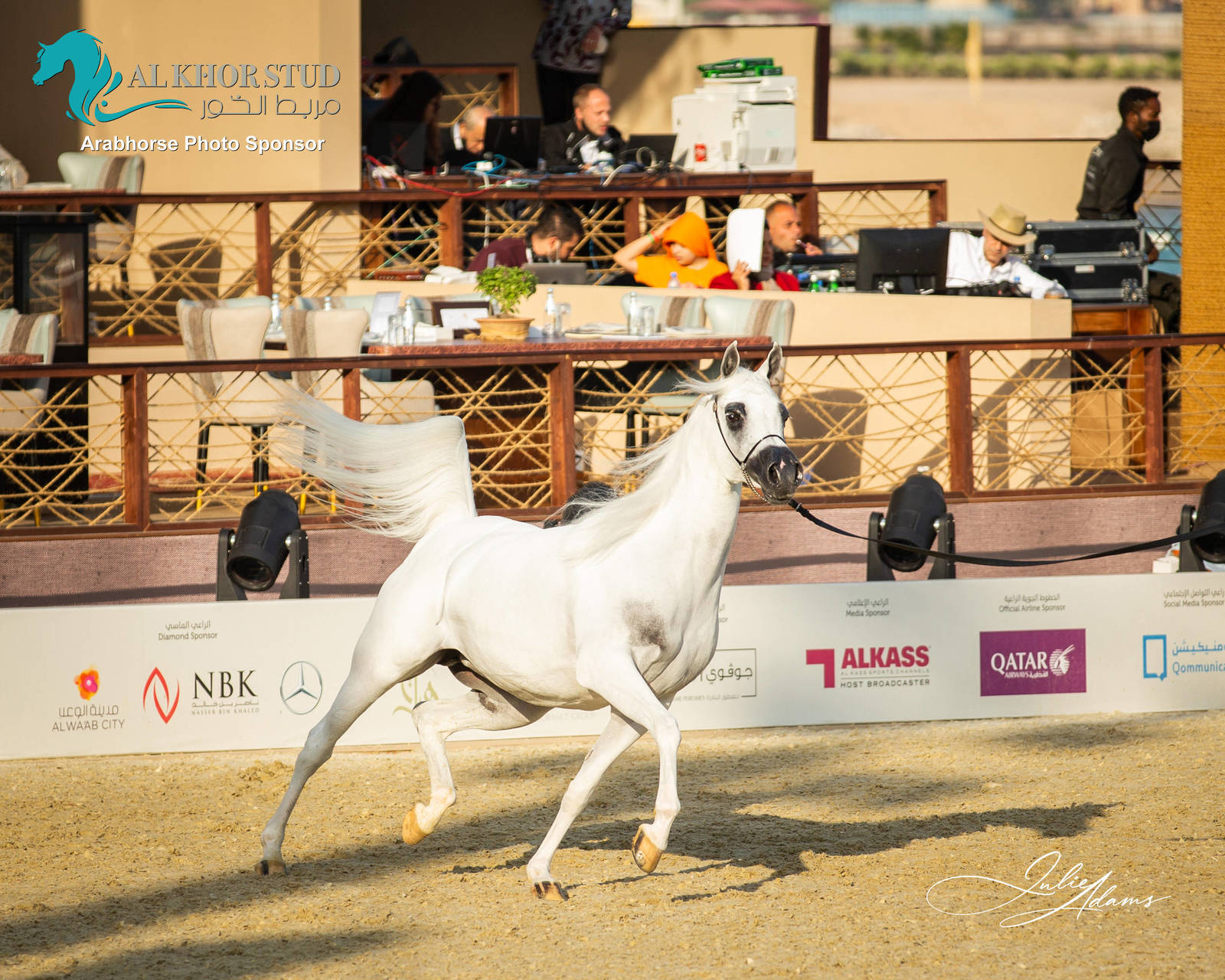 DAY 3 OF 2022 KATARA INTERNATIONAL ARABIAN HORSE FESTIVAL TITLE SHOW