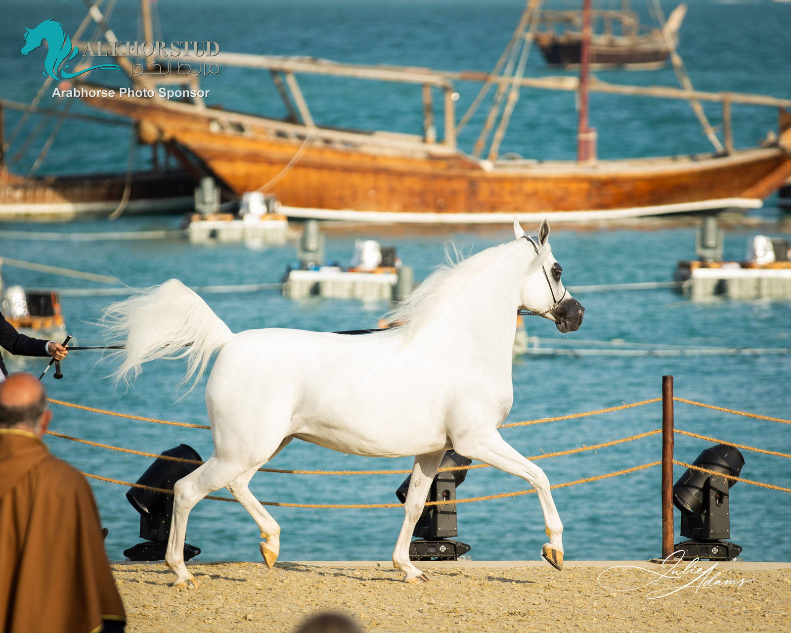 DAY 3 OF 2022 KATARA INTERNATIONAL ARABIAN HORSE FESTIVAL TITLE SHOW