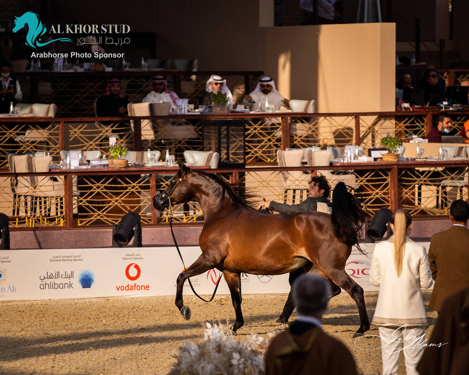 DAY 3 OF 2022 KATARA INTERNATIONAL ARABIAN HORSE FESTIVAL TITLE SHOW