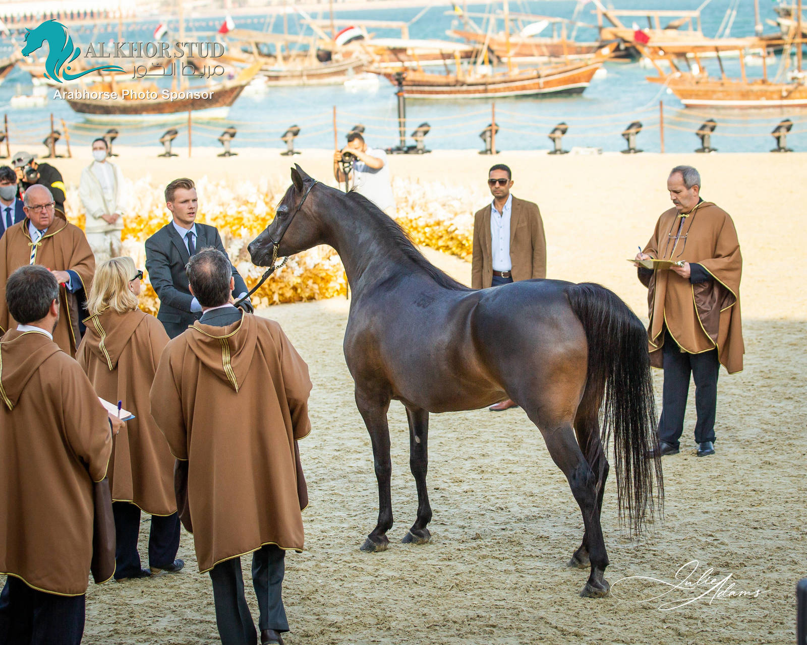 DAY 3 OF 2022 KATARA INTERNATIONAL ARABIAN HORSE FESTIVAL TITLE SHOW