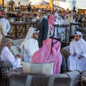 DAY 3 OF 2022 KATARA INTERNATIONAL ARABIAN HORSE FESTIVAL TITLE SHOW