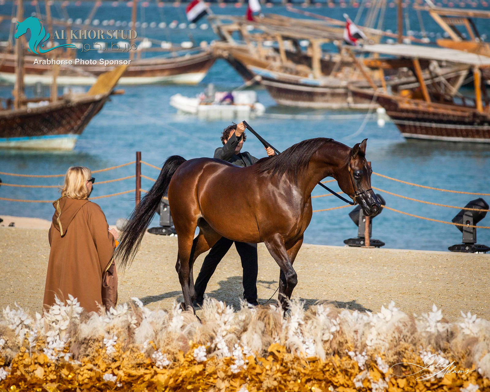 DAY 3 OF 2022 KATARA INTERNATIONAL ARABIAN HORSE FESTIVAL TITLE SHOW