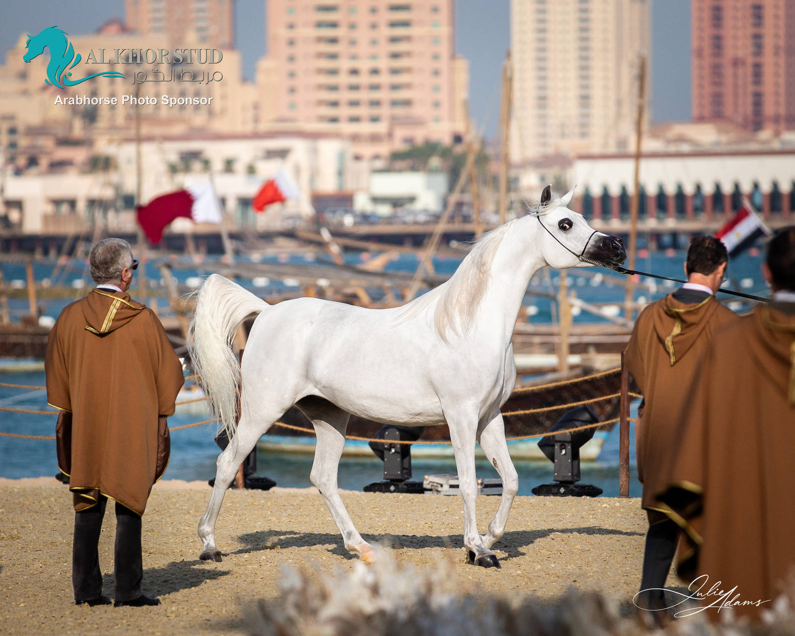 DAY 3 OF 2022 KATARA INTERNATIONAL ARABIAN HORSE FESTIVAL TITLE SHOW