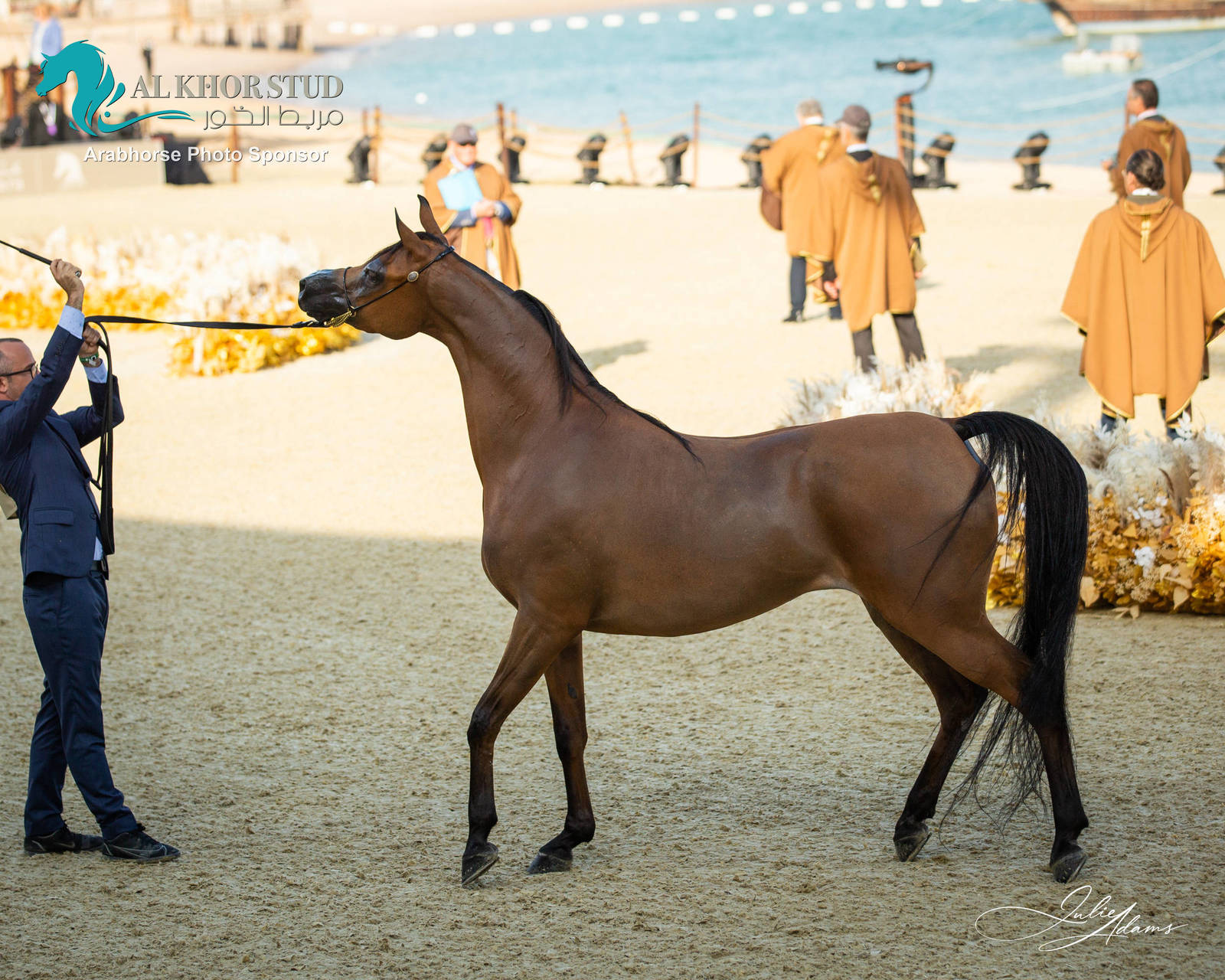 DAY 3 OF 2022 KATARA INTERNATIONAL ARABIAN HORSE FESTIVAL TITLE SHOW