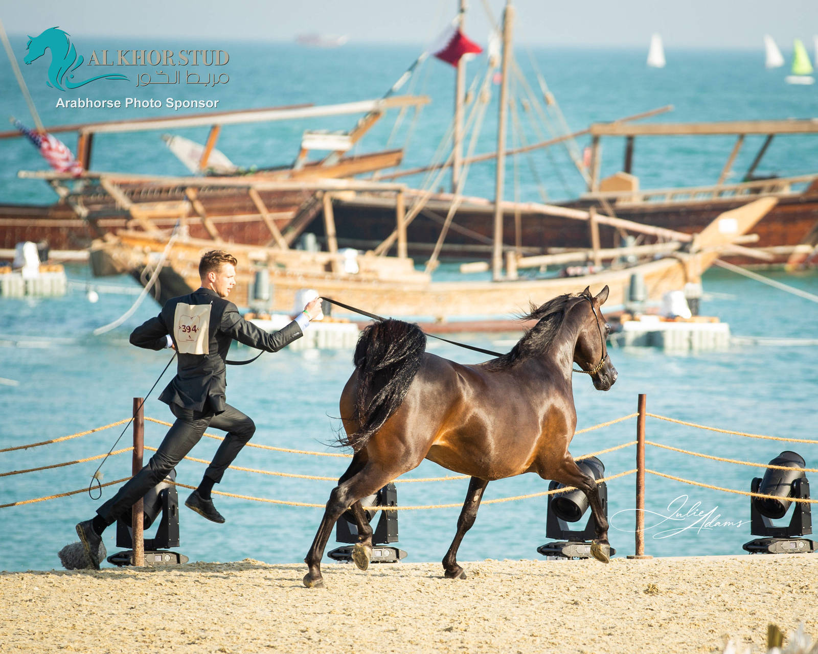 DAY 3 OF 2022 KATARA INTERNATIONAL ARABIAN HORSE FESTIVAL TITLE SHOW