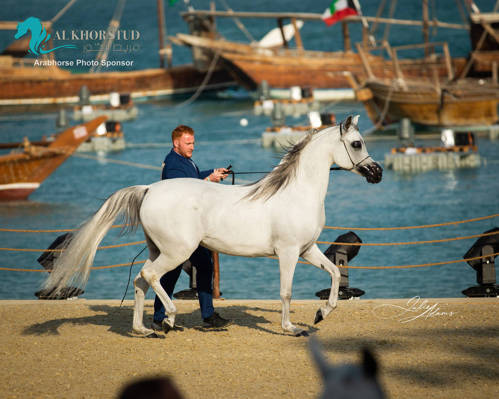 DAY 3 OF 2022 KATARA INTERNATIONAL ARABIAN HORSE FESTIVAL TITLE SHOW