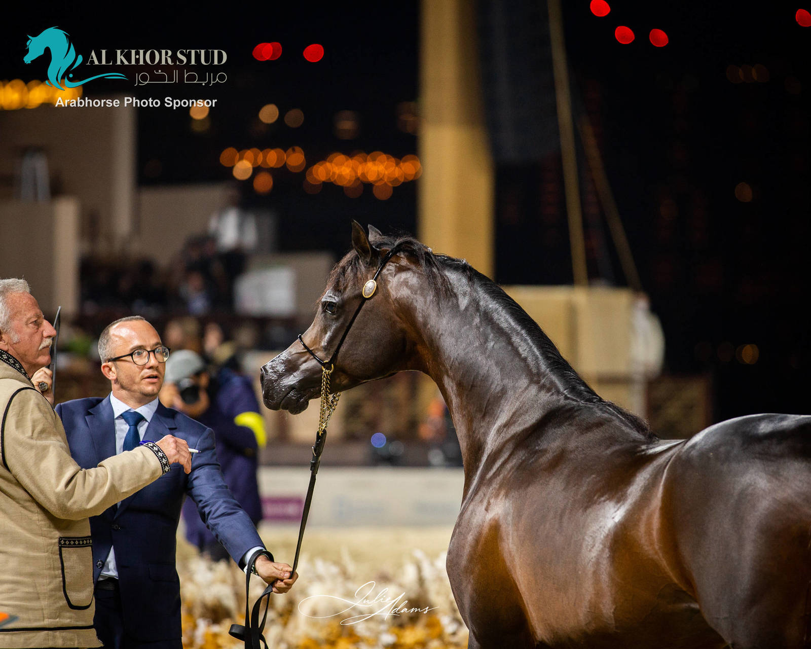 DAY 3 OF 2022 KATARA INTERNATIONAL ARABIAN HORSE FESTIVAL TITLE SHOW