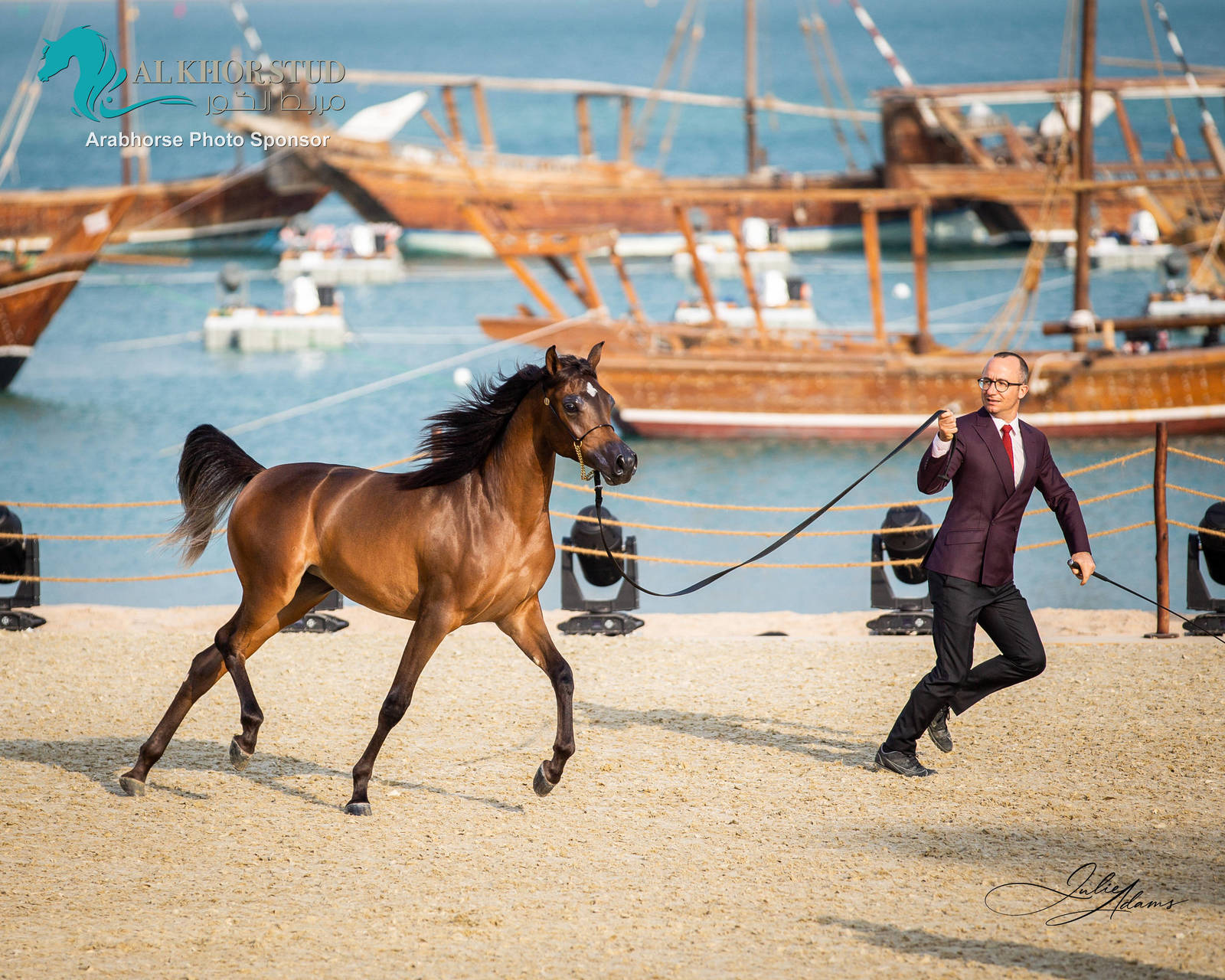 CHAMPIONSHIP DAY OF 2022 KATARA INTERNATIONAL ARABIAN HORSE FESTIVAL TITLE SHOW