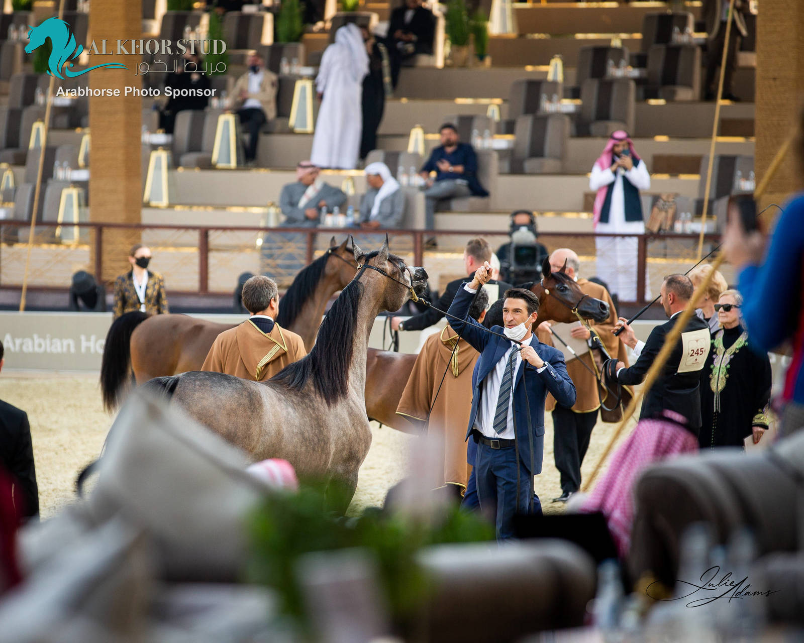 CHAMPIONSHIP DAY OF 2022 KATARA INTERNATIONAL ARABIAN HORSE FESTIVAL TITLE SHOW