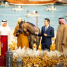 CHAMPIONSHIP DAY OF 2022 KATARA INTERNATIONAL ARABIAN HORSE FESTIVAL TITLE SHOW