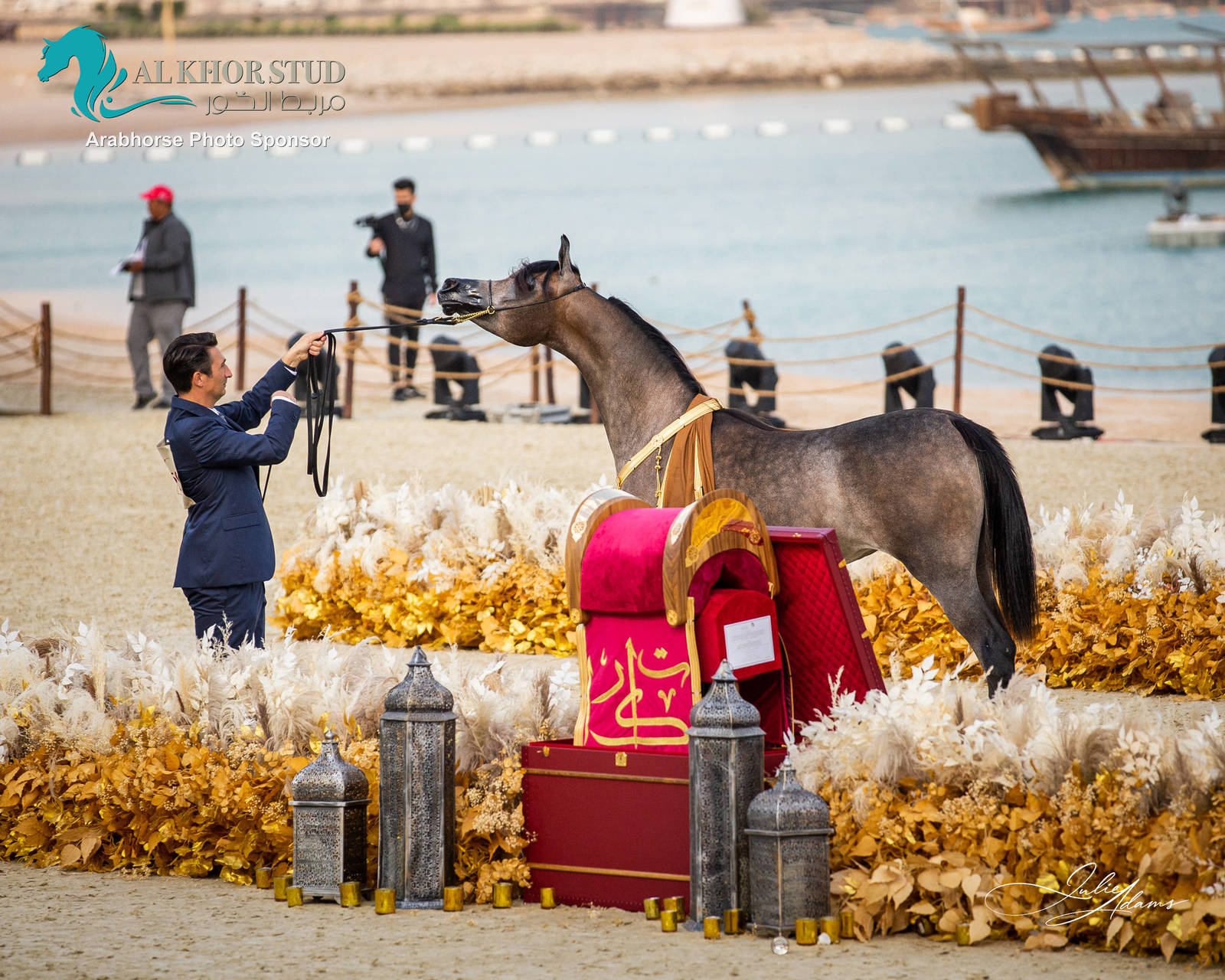 CHAMPIONSHIP DAY OF 2022 KATARA INTERNATIONAL ARABIAN HORSE FESTIVAL TITLE SHOW