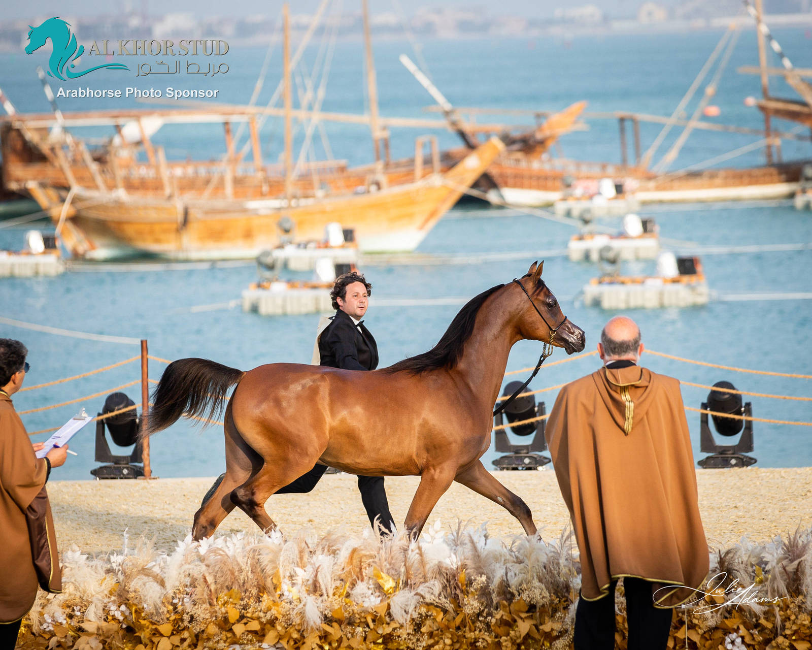 CHAMPIONSHIP DAY OF 2022 KATARA INTERNATIONAL ARABIAN HORSE FESTIVAL TITLE SHOW