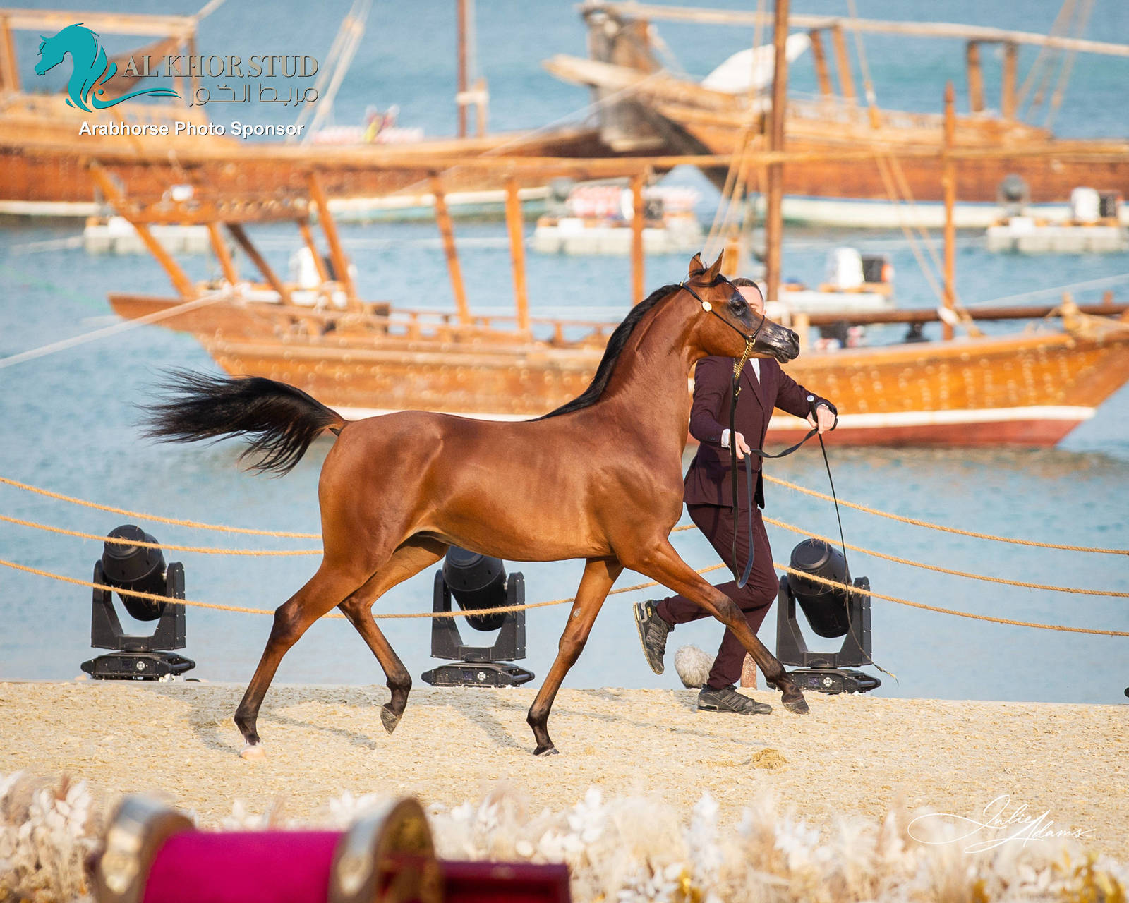 CHAMPIONSHIP DAY OF 2022 KATARA INTERNATIONAL ARABIAN HORSE FESTIVAL TITLE SHOW