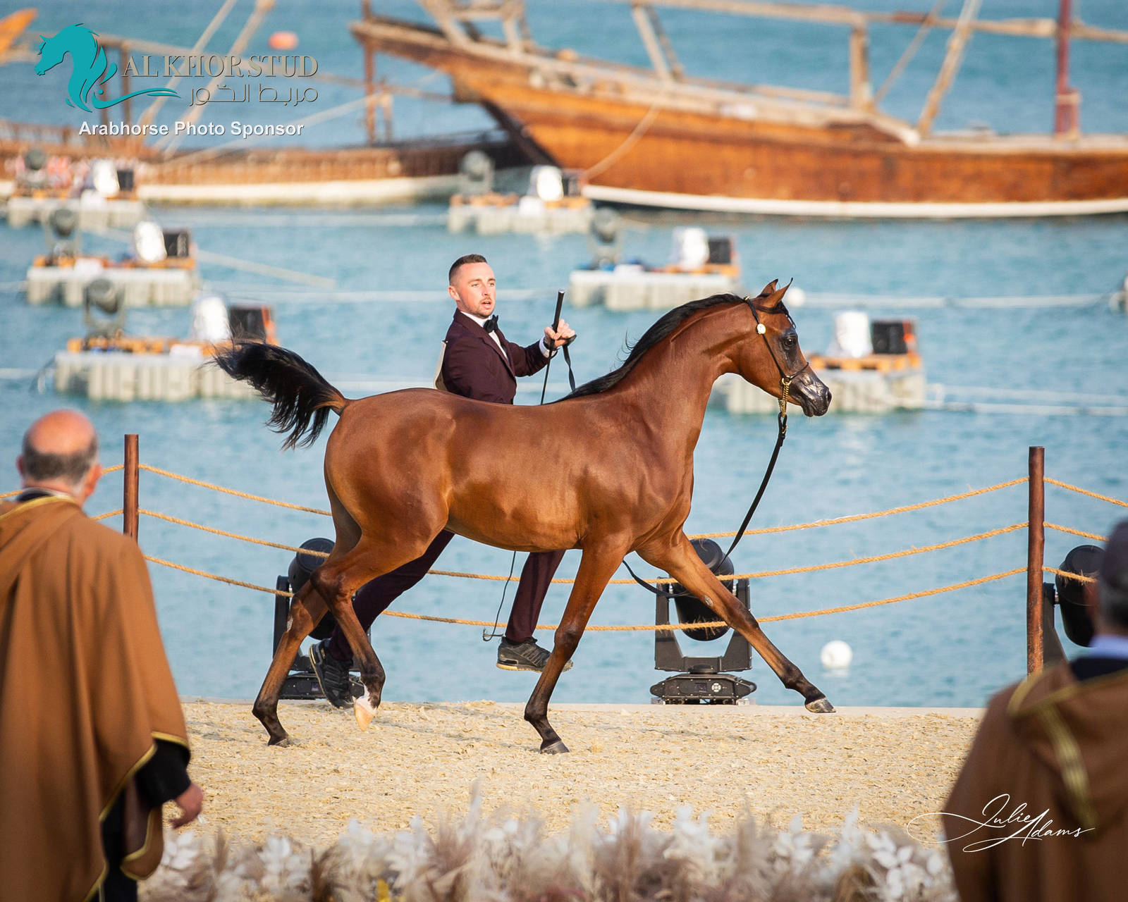 CHAMPIONSHIP DAY OF 2022 KATARA INTERNATIONAL ARABIAN HORSE FESTIVAL TITLE SHOW