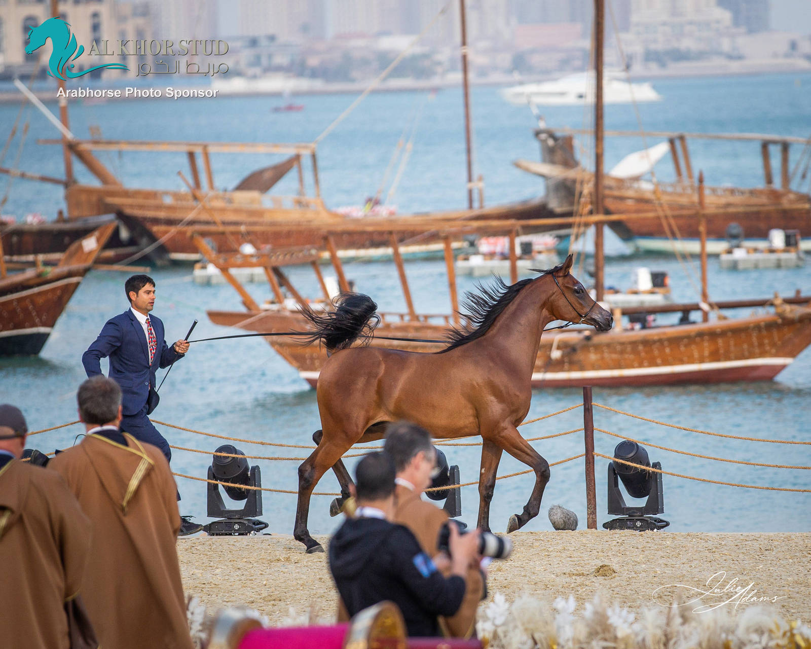 CHAMPIONSHIP DAY OF 2022 KATARA INTERNATIONAL ARABIAN HORSE FESTIVAL TITLE SHOW