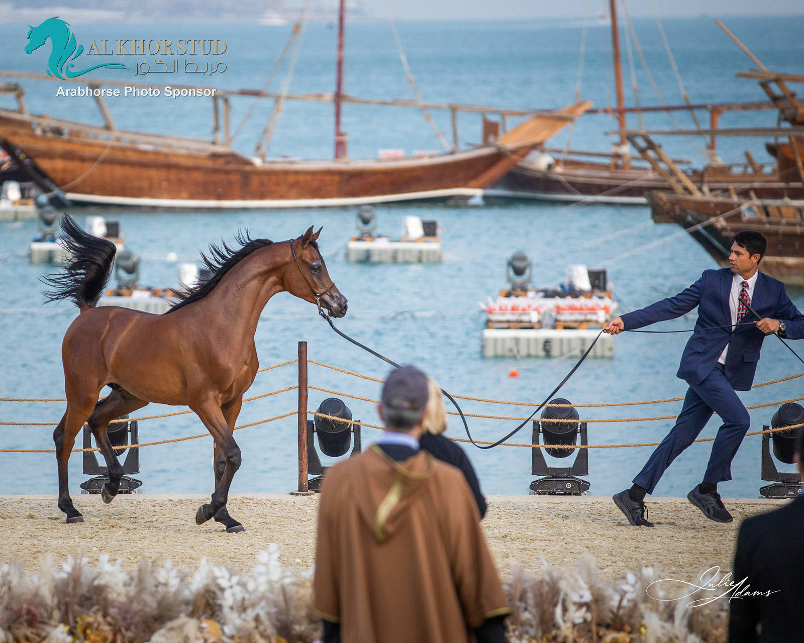 CHAMPIONSHIP DAY OF 2022 KATARA INTERNATIONAL ARABIAN HORSE FESTIVAL TITLE SHOW