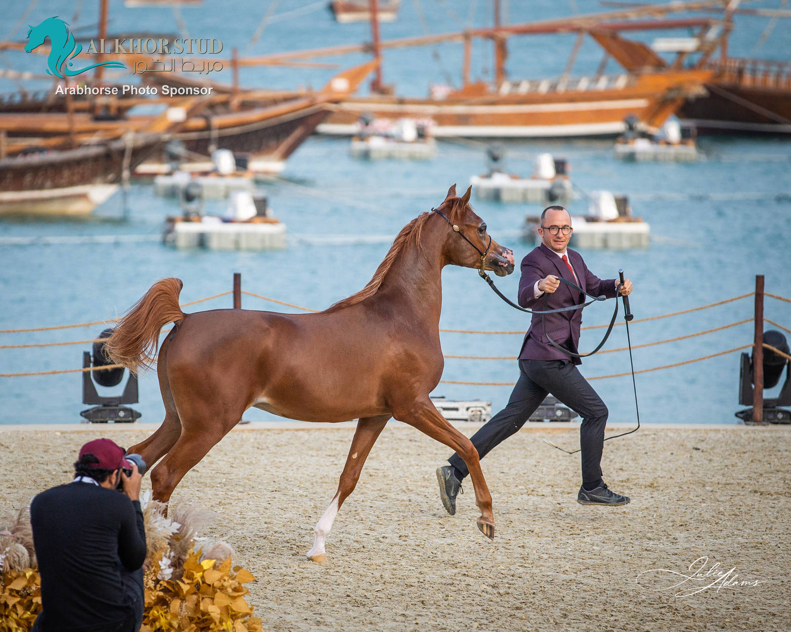 CHAMPIONSHIP DAY OF 2022 KATARA INTERNATIONAL ARABIAN HORSE FESTIVAL TITLE SHOW