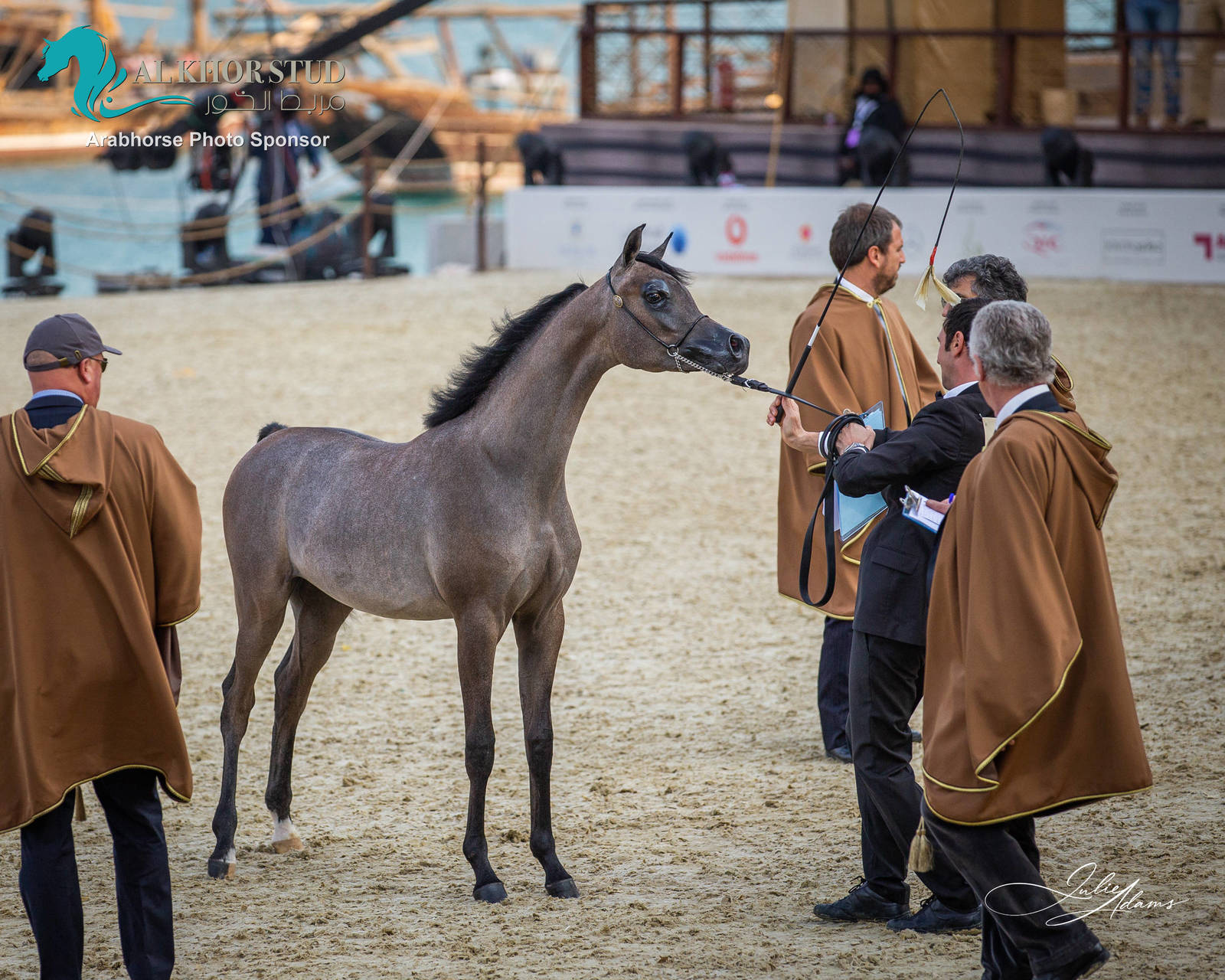 CHAMPIONSHIP DAY OF 2022 KATARA INTERNATIONAL ARABIAN HORSE FESTIVAL TITLE SHOW