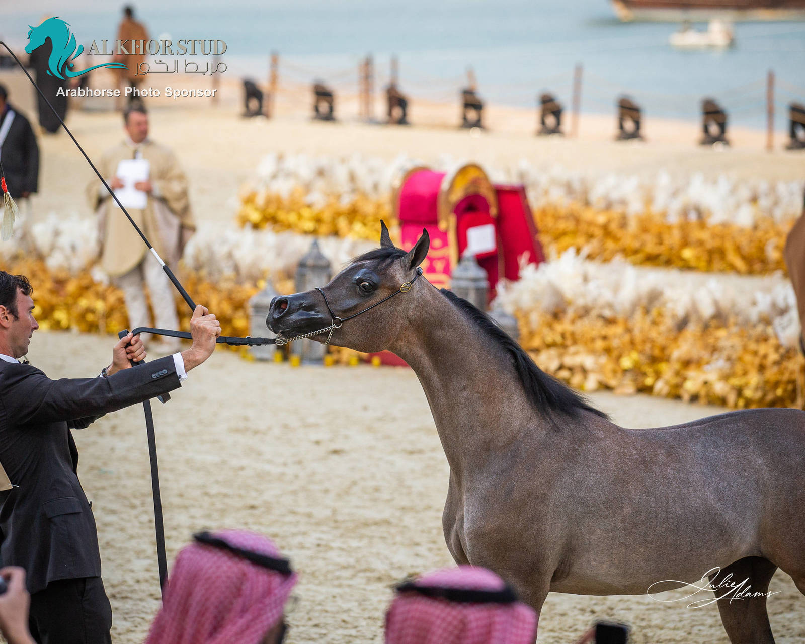 CHAMPIONSHIP DAY OF 2022 KATARA INTERNATIONAL ARABIAN HORSE FESTIVAL TITLE SHOW