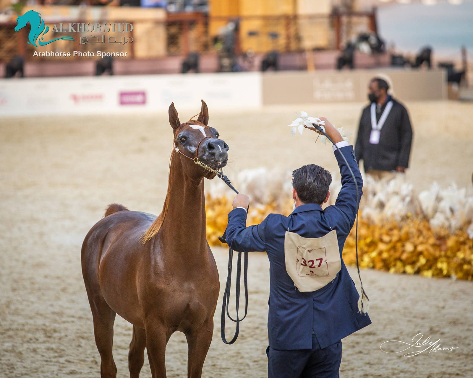 CHAMPIONSHIP DAY OF 2022 KATARA INTERNATIONAL ARABIAN HORSE FESTIVAL TITLE SHOW