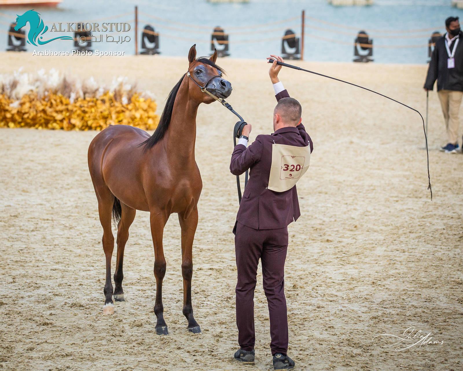 CHAMPIONSHIP DAY OF 2022 KATARA INTERNATIONAL ARABIAN HORSE FESTIVAL TITLE SHOW