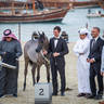 CHAMPIONSHIP DAY OF 2022 KATARA INTERNATIONAL ARABIAN HORSE FESTIVAL TITLE SHOW