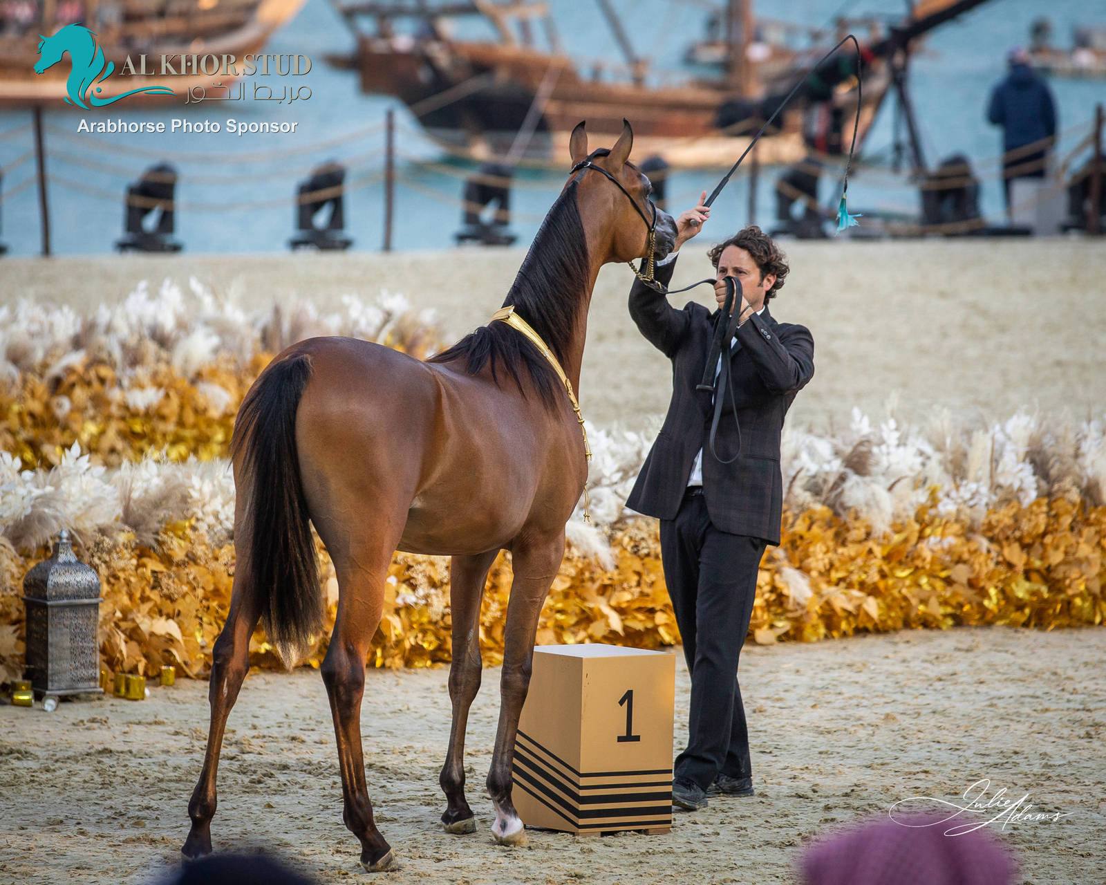 CHAMPIONSHIP DAY OF 2022 KATARA INTERNATIONAL ARABIAN HORSE FESTIVAL TITLE SHOW