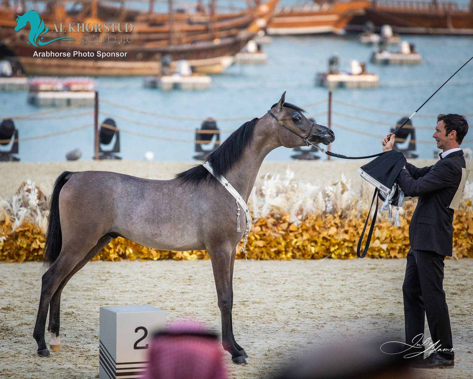 CHAMPIONSHIP DAY OF 2022 KATARA INTERNATIONAL ARABIAN HORSE FESTIVAL TITLE SHOW