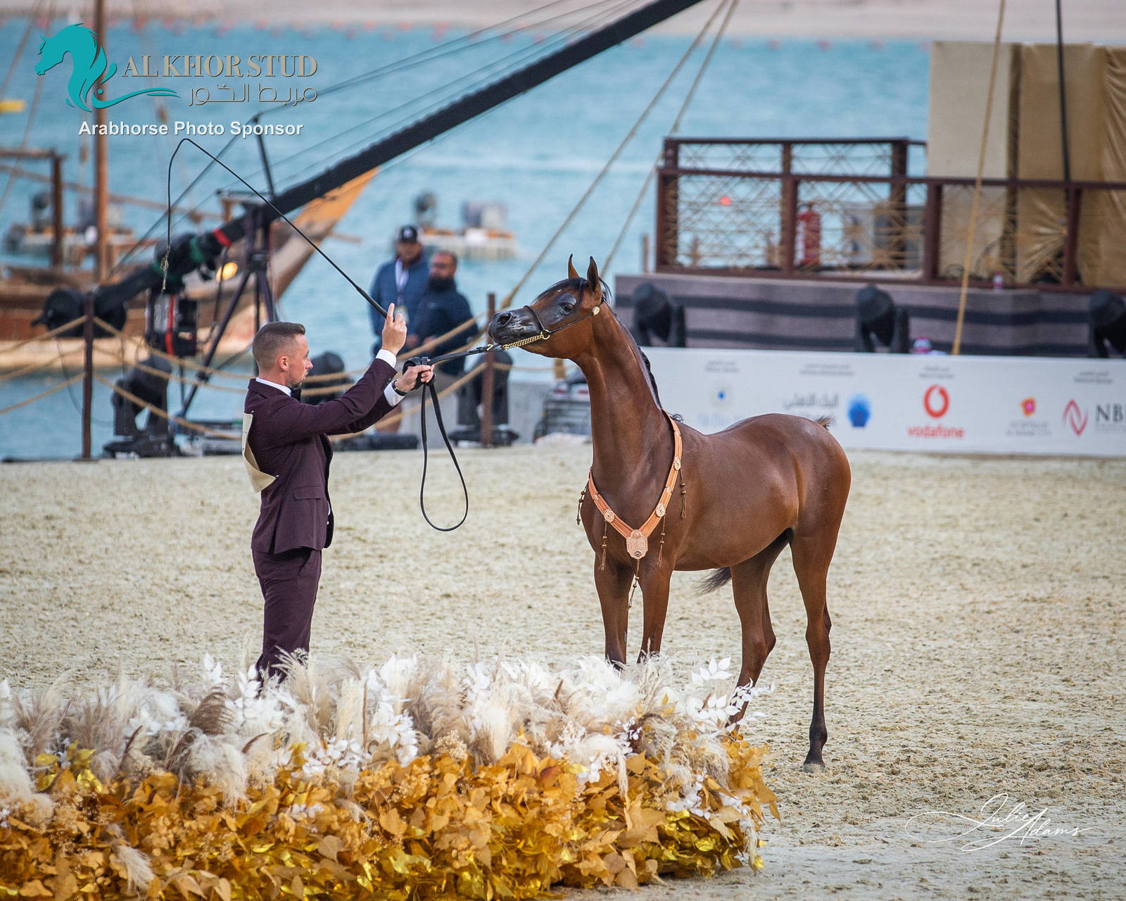CHAMPIONSHIP DAY OF 2022 KATARA INTERNATIONAL ARABIAN HORSE FESTIVAL TITLE SHOW