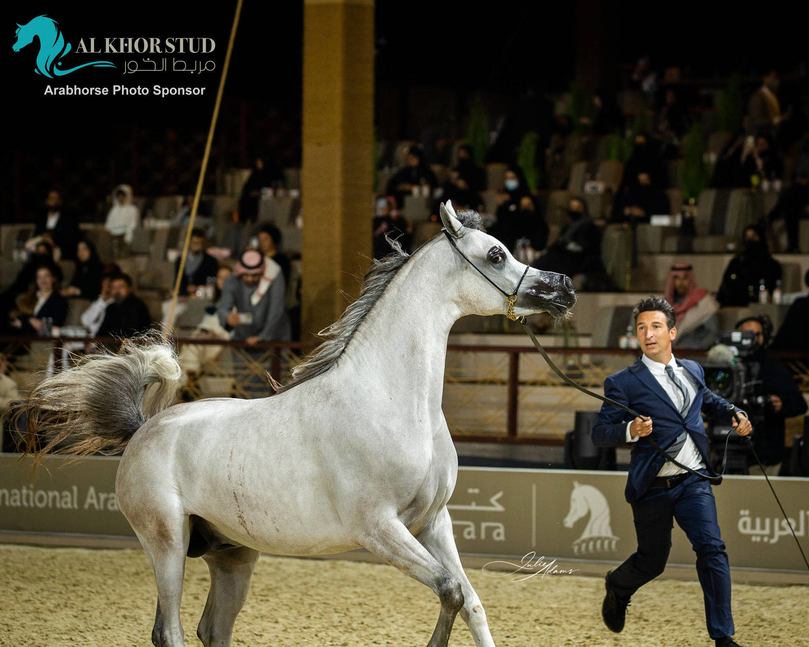 CHAMPIONSHIP DAY OF 2022 KATARA INTERNATIONAL ARABIAN HORSE FESTIVAL TITLE SHOW
