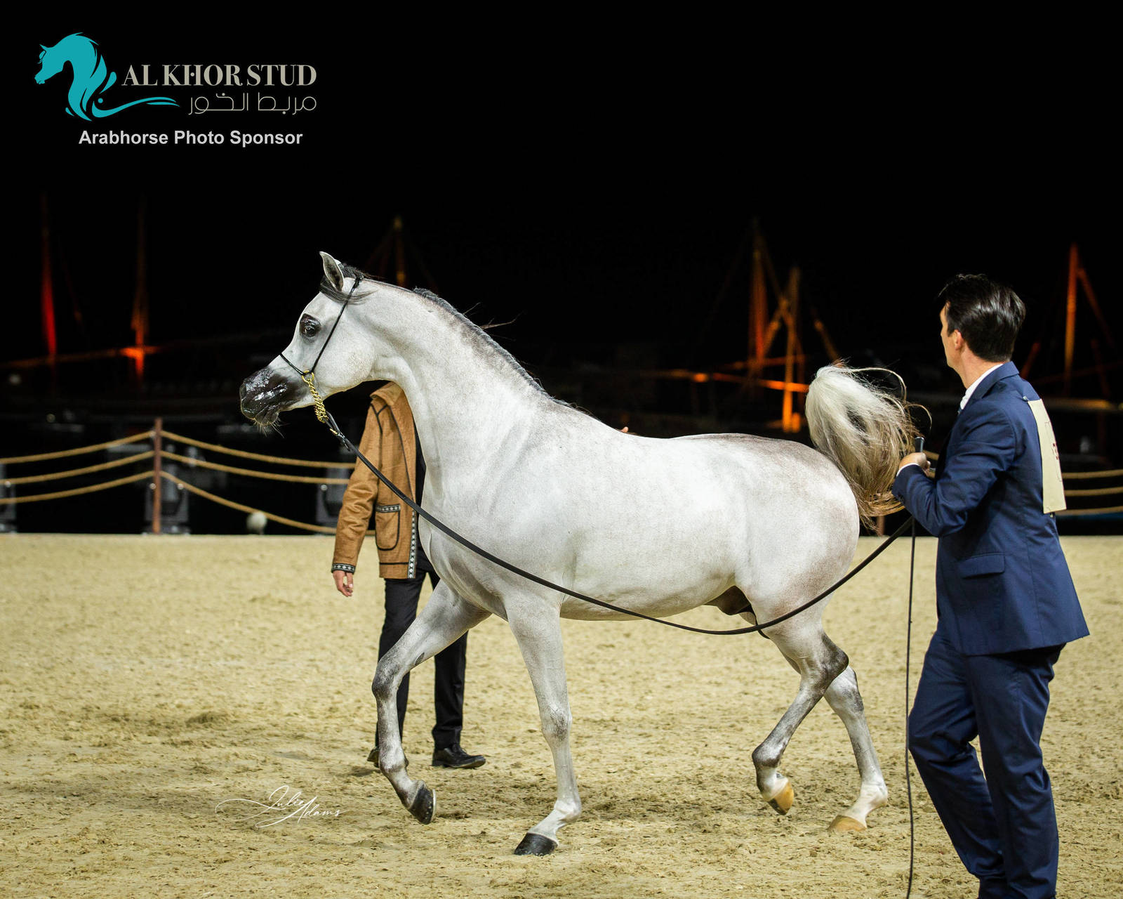 CHAMPIONSHIP DAY OF 2022 KATARA INTERNATIONAL ARABIAN HORSE FESTIVAL TITLE SHOW