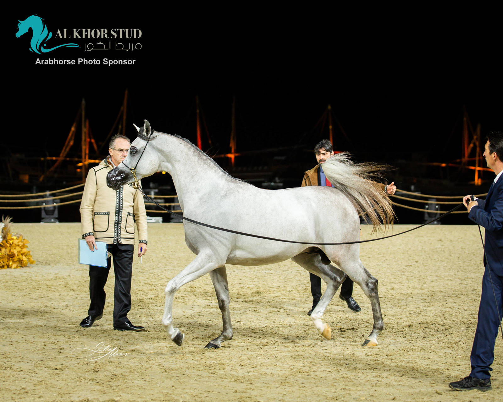 CHAMPIONSHIP DAY OF 2022 KATARA INTERNATIONAL ARABIAN HORSE FESTIVAL TITLE SHOW