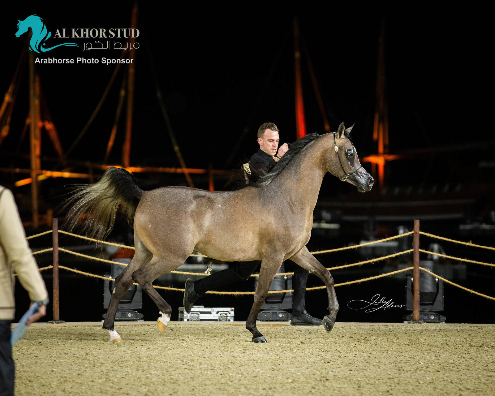 CHAMPIONSHIP DAY OF 2022 KATARA INTERNATIONAL ARABIAN HORSE FESTIVAL TITLE SHOW