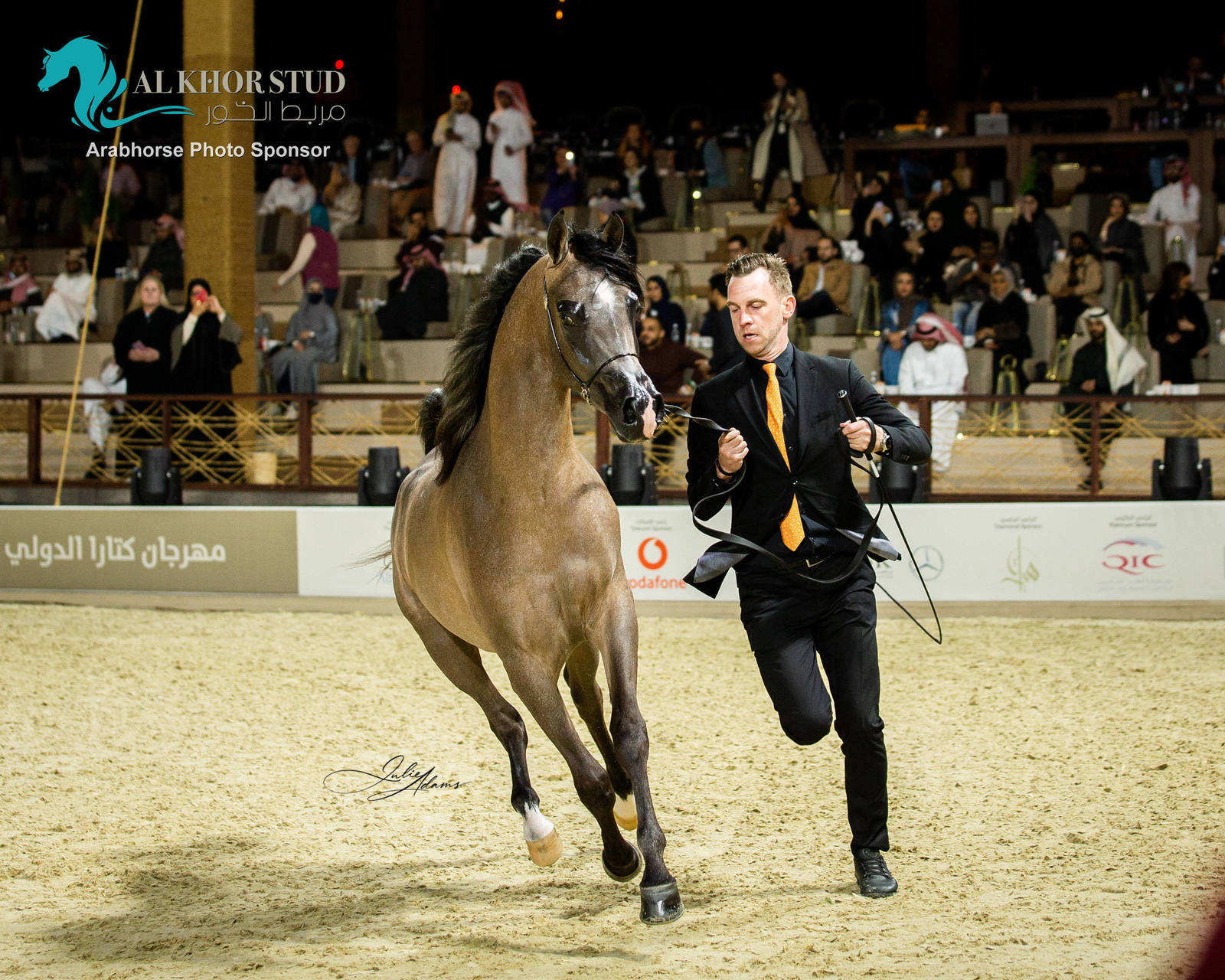 CHAMPIONSHIP DAY OF 2022 KATARA INTERNATIONAL ARABIAN HORSE FESTIVAL TITLE SHOW