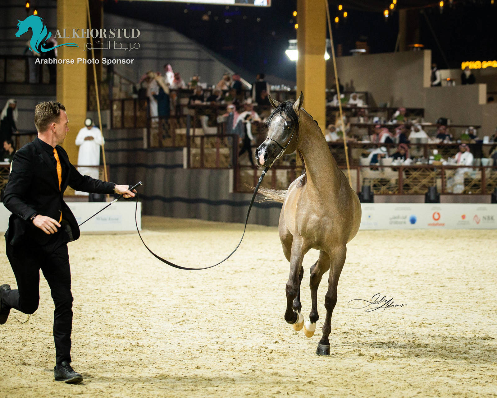 CHAMPIONSHIP DAY OF 2022 KATARA INTERNATIONAL ARABIAN HORSE FESTIVAL TITLE SHOW
